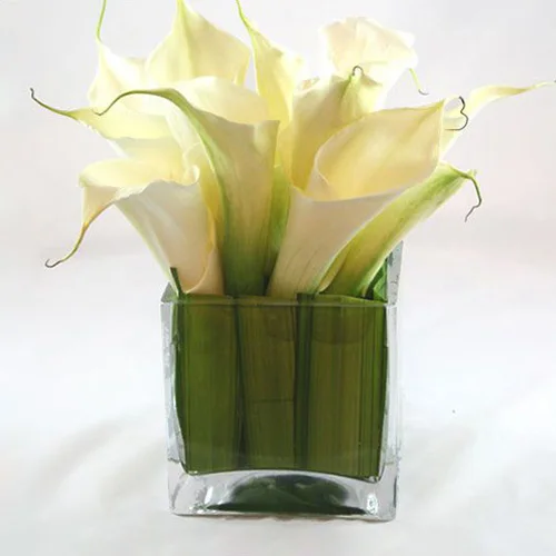 square glass pot for water plants/clear glass vase for flower arrangement/wedding favor table decoration centerpiece