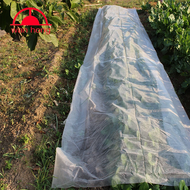Biodegradable Nonwoven Fabric High Quality Agriculture Nonwoven Fabric Garden Mat To Prevent