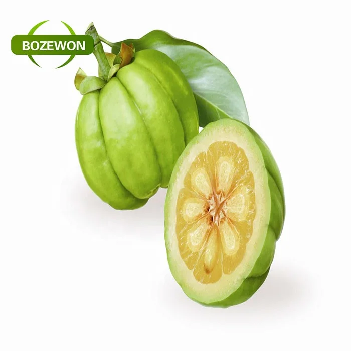 high quality herb Garcinia Cambogia Extract/Garcinia Cambogia fruit Extract powder