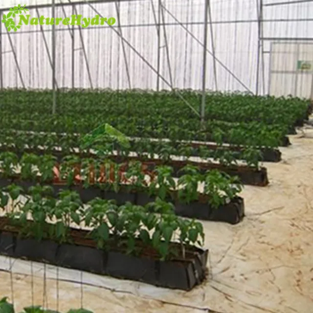 Hydroponics Greenhouse agricultural greenhouse Growing Trough PP rolls