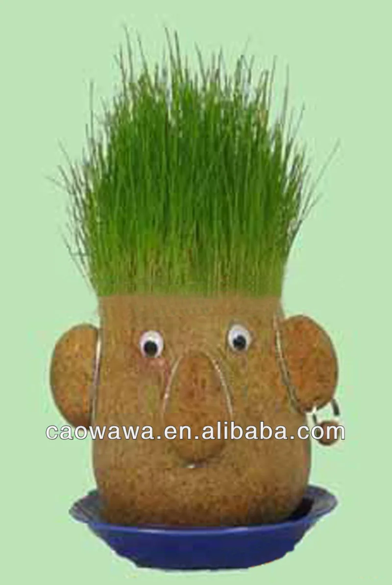 grass doll , grass head , welome your design (OEM/ODM)