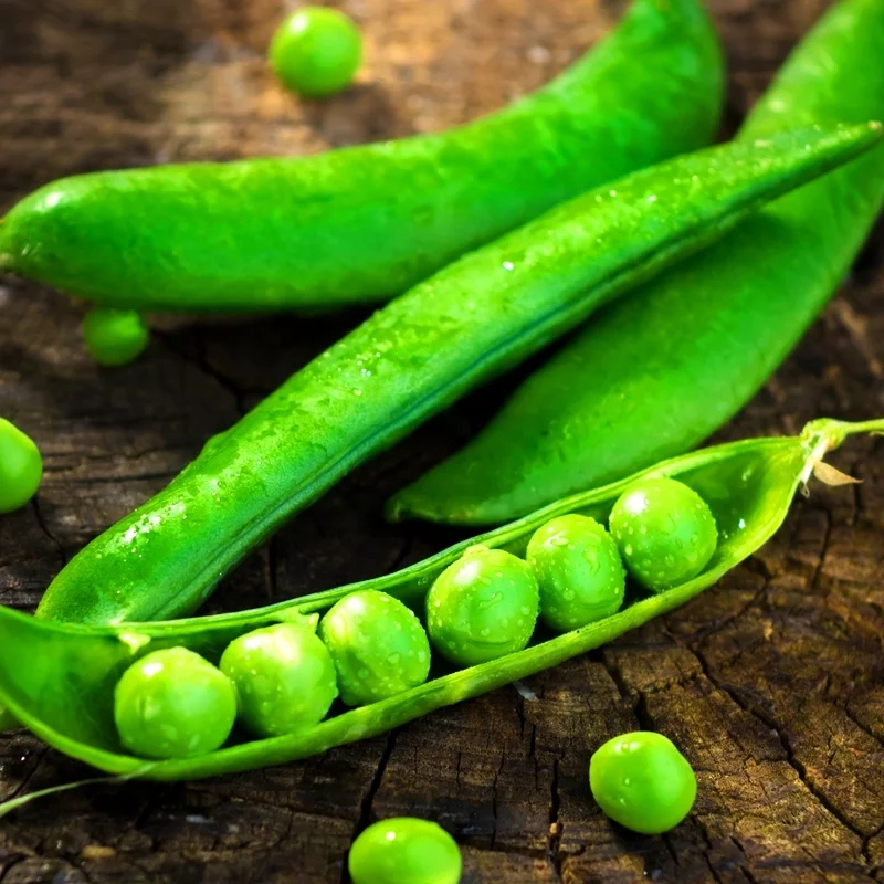 
400g X 24 Tins hot selling canned green peas 