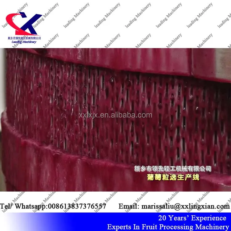 Передовые технологии verticle гидравлические виноградный пресс-машина/виноградное вино соковыжималка