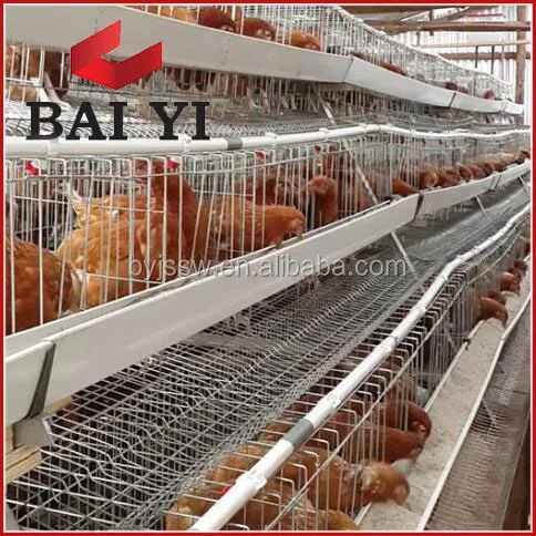 Agricultural Equipment Design Layer Chicken Cages,bird Laying Hens Cheap Chicken Coops, Poultry Chicken Cage for Sal