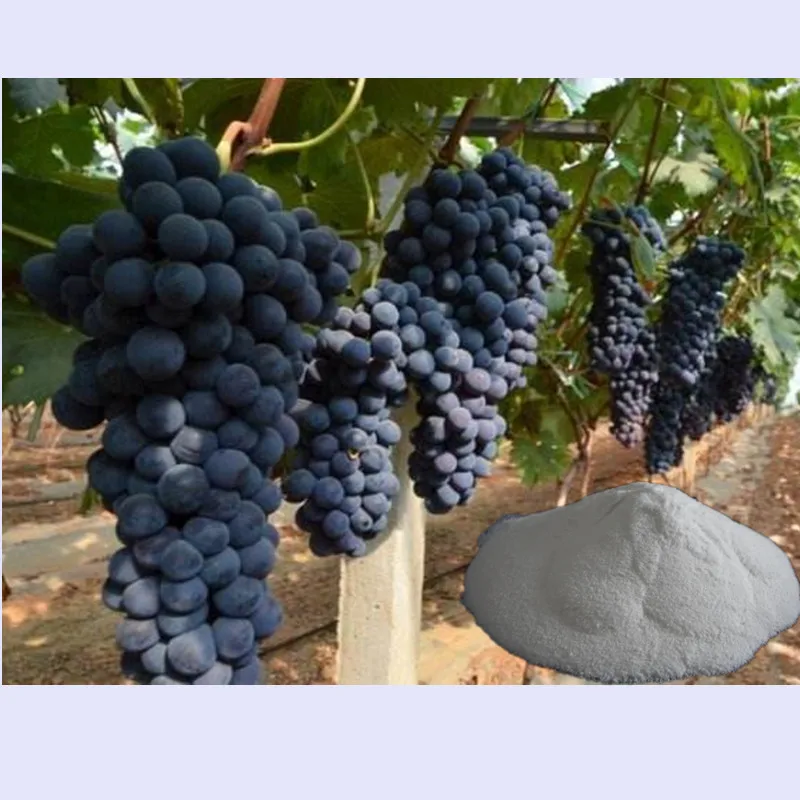 Forchlorfenuron KT-30, ccpu CAS No.: 68157-60-8