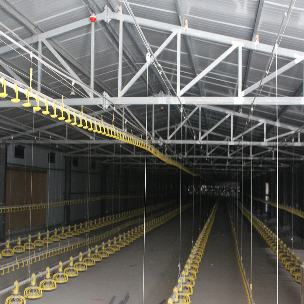 Farms Applicable Industries and Yellow Color chicken drinker and feeder equipment for broiler parent stock farm use