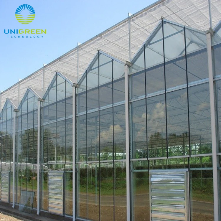Large multi span agriculture Glass green house