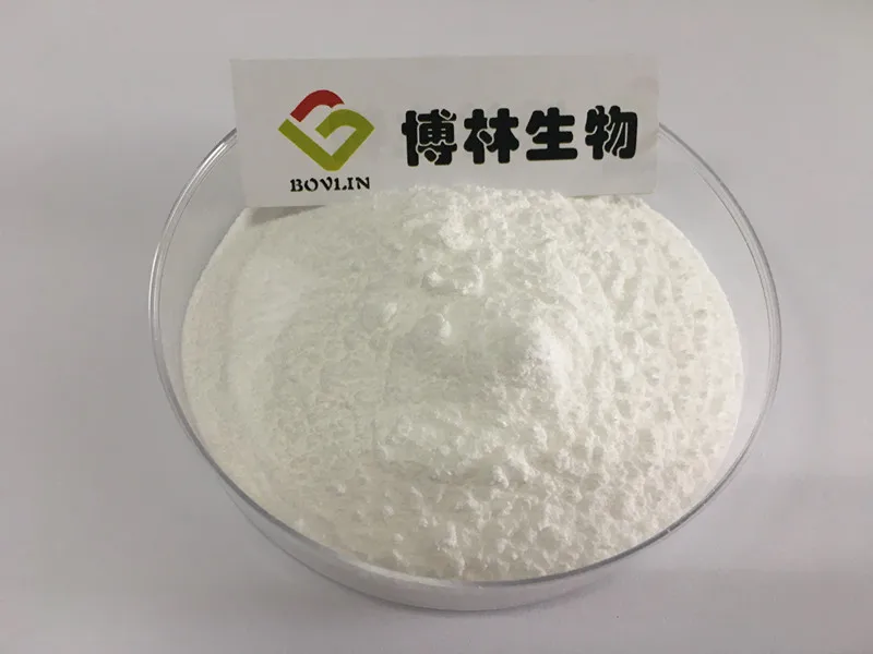 
Manufacturer supply CAS No 58-85-5 vitamin b7 /vitamin h biotin 99% / D Biotin Powder hair vitamins biotin in best price 