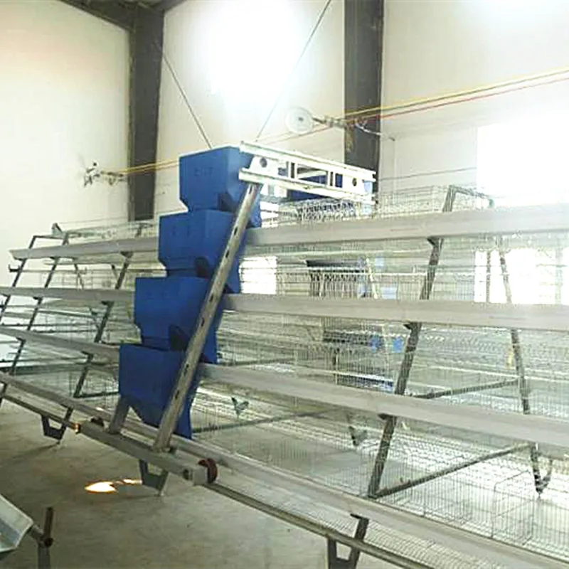 egg chicken cage system