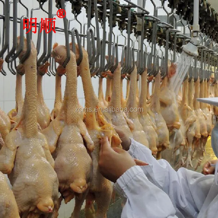 halal chicken slaughter and abattoir machine line for chicken boiler farm