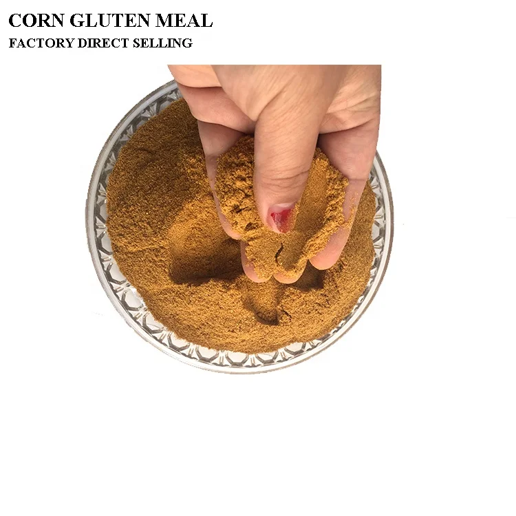 
Poultry Feeding Corn Gluten Meal 60% Protein Probiotics Bulk 