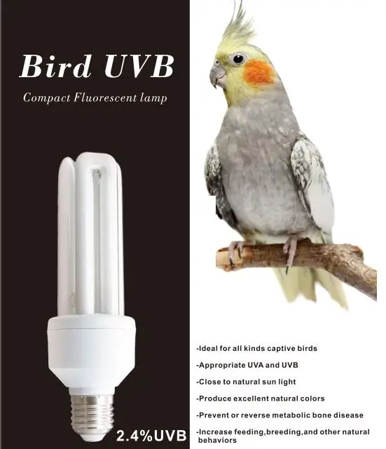 Lucky herp UVB 2.4  bird UV lamp compact fluorescent UV light lamp for captive parrot cage