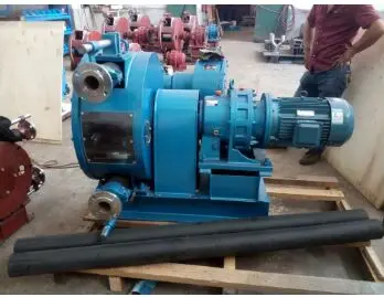 WCB Small Double Gear Pump Portable Oil Pump Electric diesel Transfer Pump