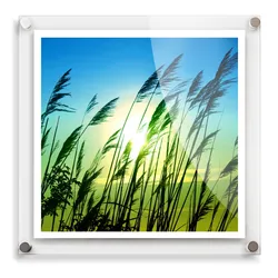 Modern Perspex Photo Frame Acrylic Floating Picture Frame Wholesale