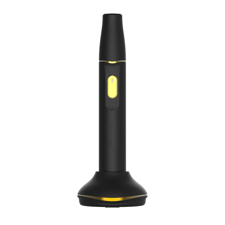 
Electronic Cigarette portable dry vape pen heat not burn mini vape pen 