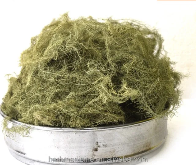 
Dried wild natural Usnea diffracta Vain whole parts 