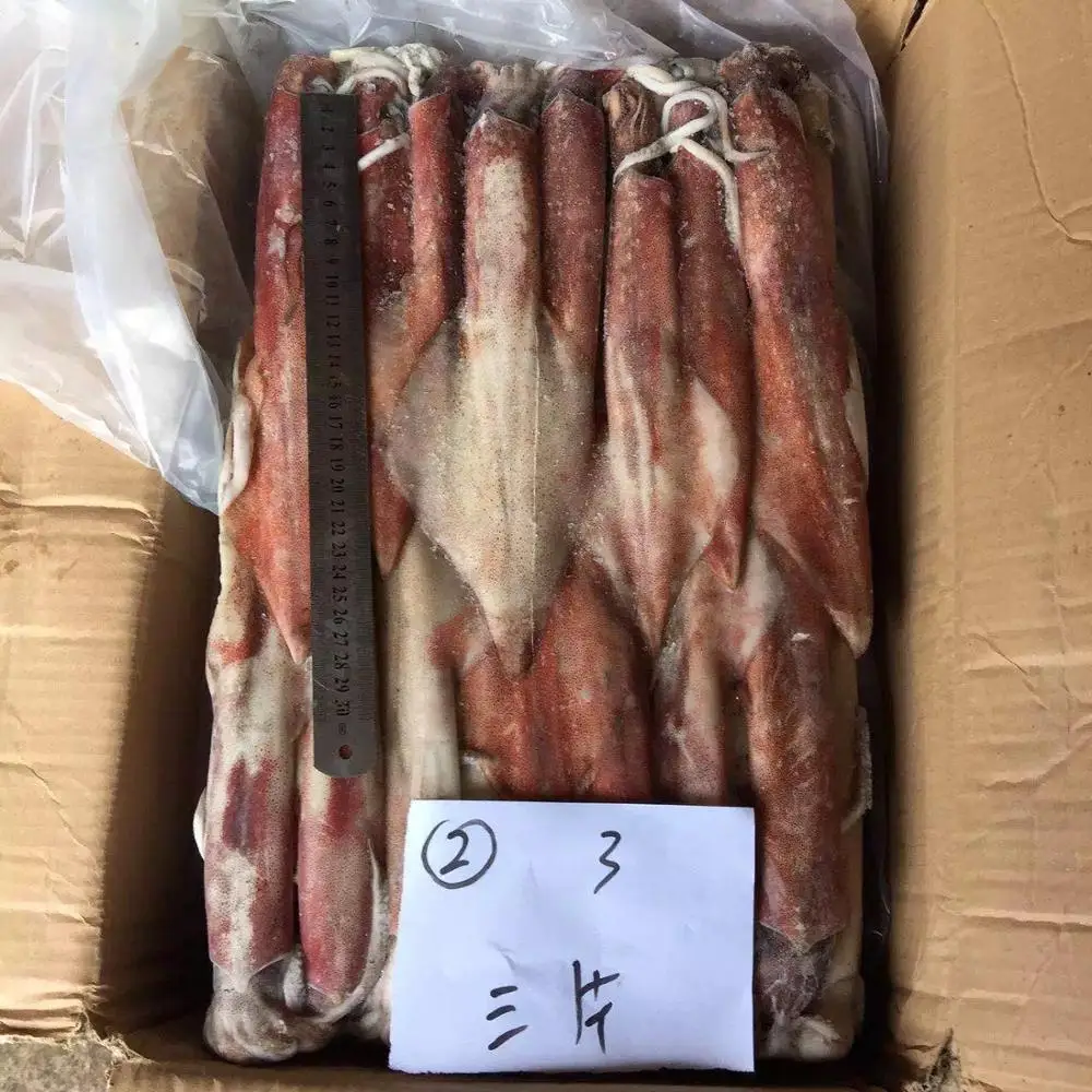 wholesale squid loligo seafood loligo