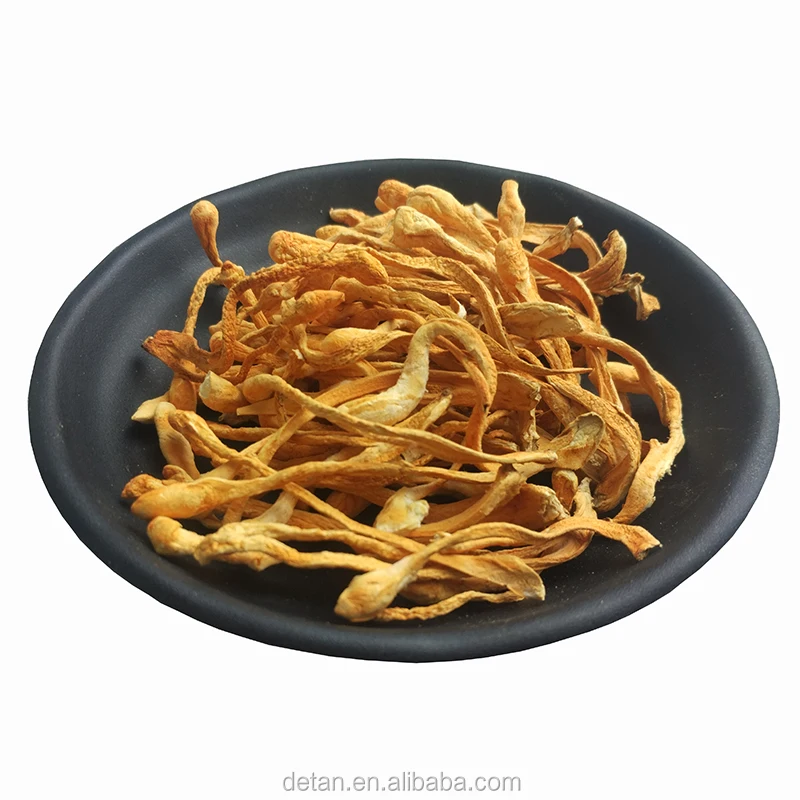 
Detan Dried Caterpillar in All Types of Mushrooms 