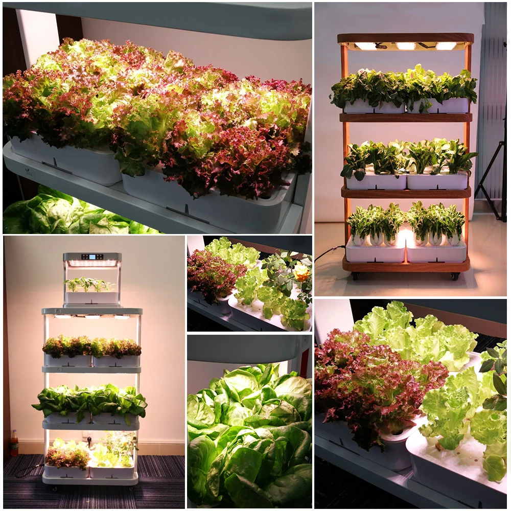 Shenzhen Hot Sale Avatar 120W 3 layers eco-kitchen hydroponic Greenhouse Grow Vertical cabinet/box for lettuce&tomato&pepper