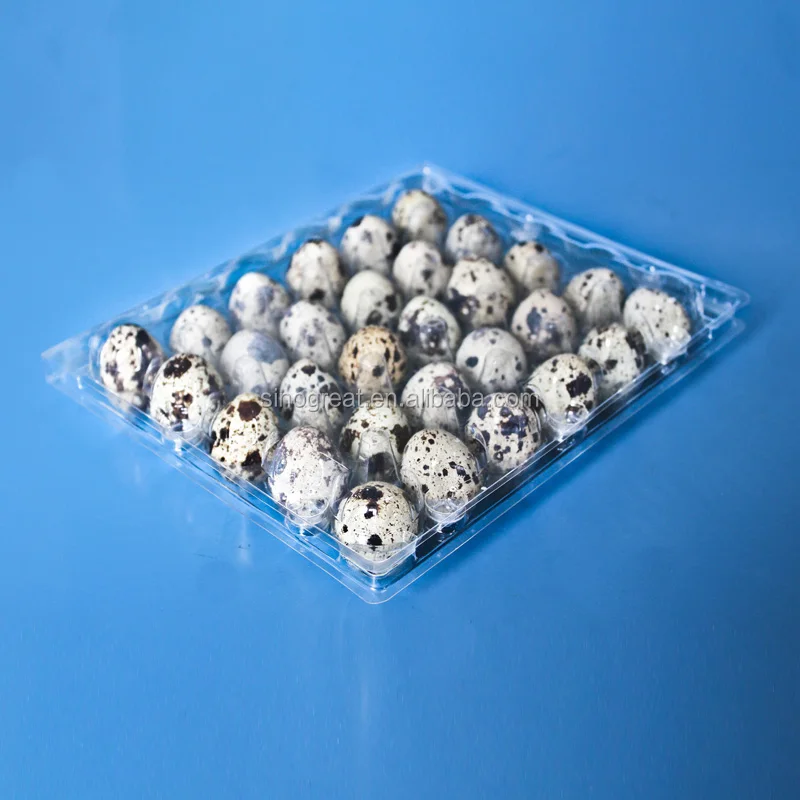 Plastic Quail Egg Packaging plastic disposable egg packing tray