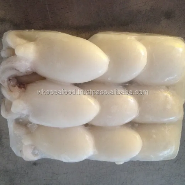 
FROZEN BABY CUTTLEFISH 