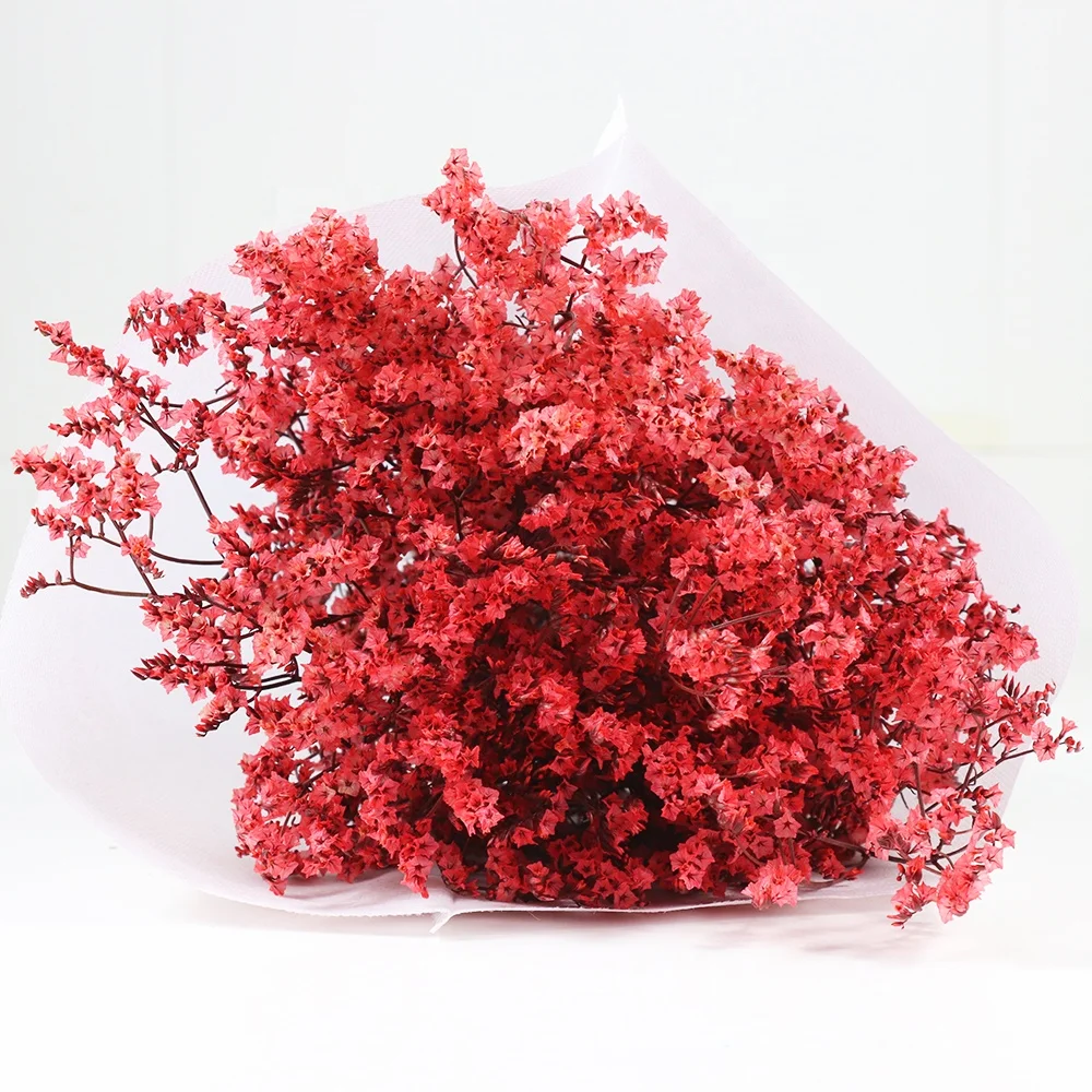 Preserved Everlasting Caspea Limonium  Multi-color For Portable Stage Decoration Backdrop Design lavender flowers dried