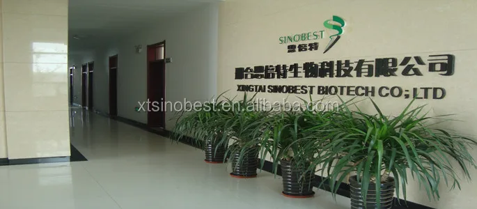 Bio Fertilizer Bacillus Mucilagionsus