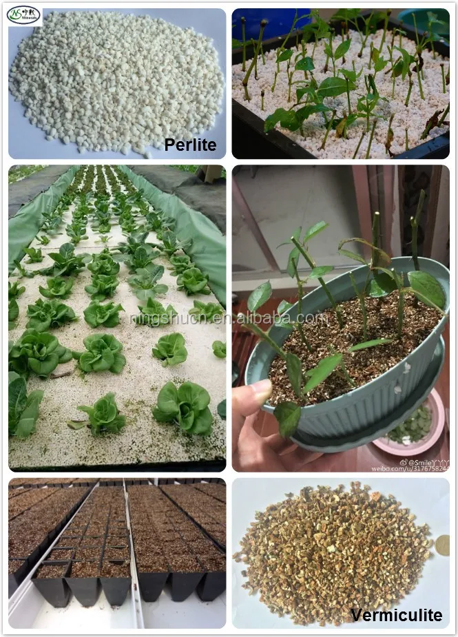 Growing Medium Expanded Perlite and Vermiculite for Orchid plant nursery