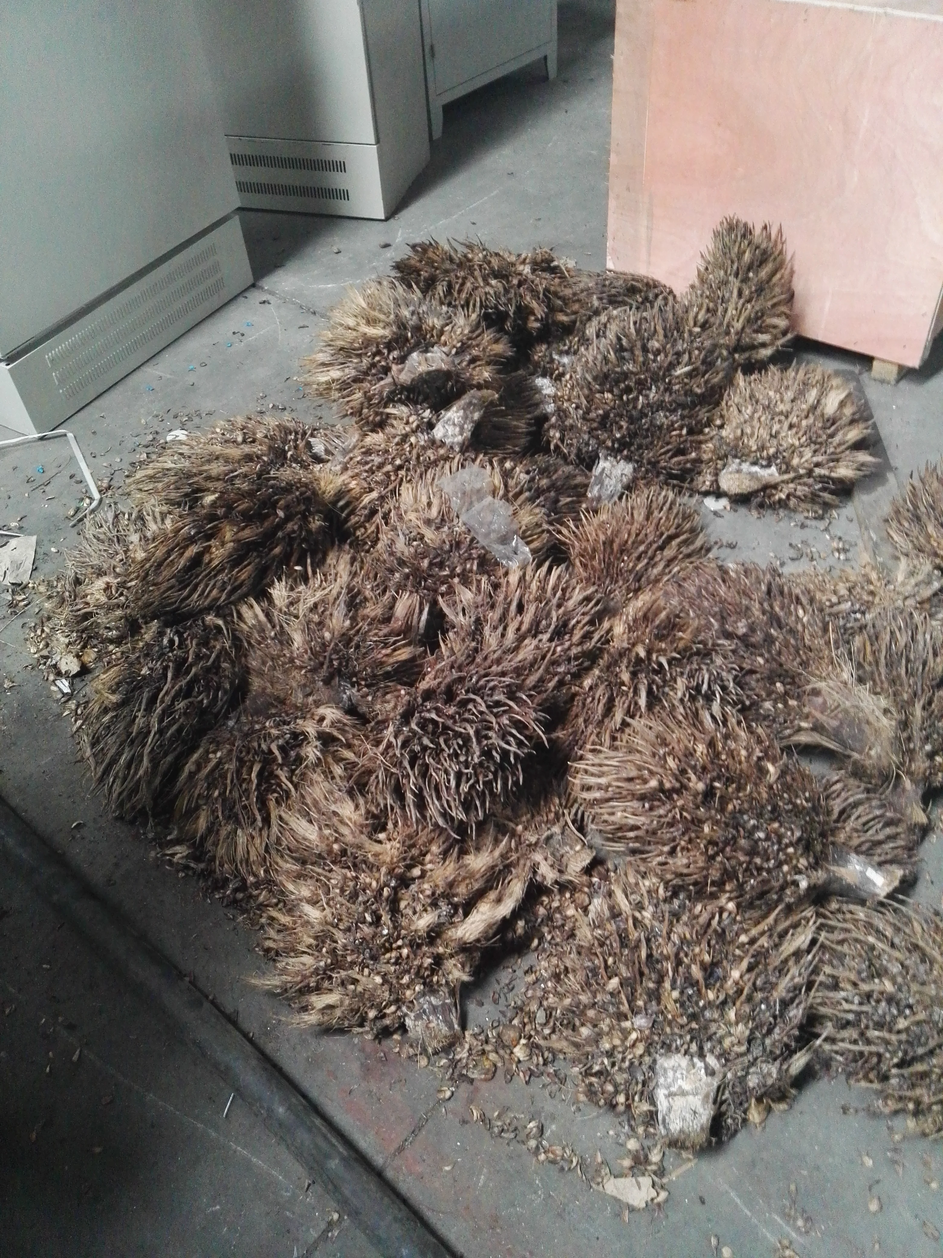 
China supplier High efficiency and quality Soild Fuel palm EFB Shredder/ EFB Fiber Shredding Machine 