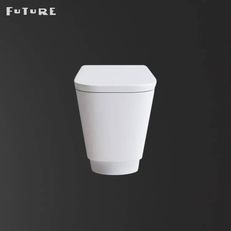 
Bathroom Water Cistern Hidden Rectangular Ceramic Wc China One Piece Bathroom Sanitary Ware Wc Toilet Flush Pipe Component UPC 