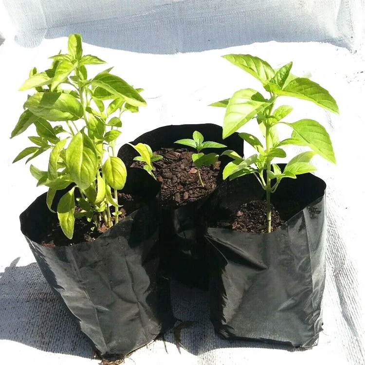 horticulture garden greenhouse black poly  grow seedling bags nursery pots with drainage holes