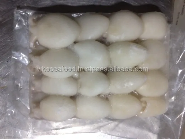 
FROZEN BABY CUTTLEFISH 