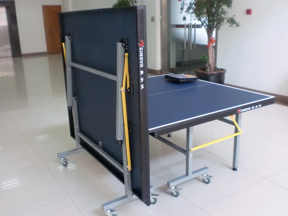 Indoor Table Tennis Tables