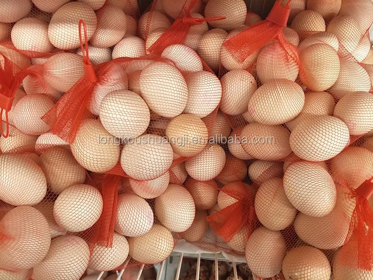 Rose flower net making machine /Rose bud protection net extrusion line