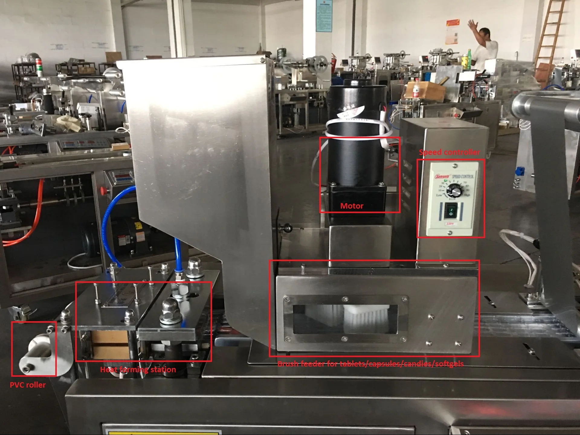 
DPP80 Pharmaceutical Aluminum Plastic Capsule Auto Blister Packing Machine 