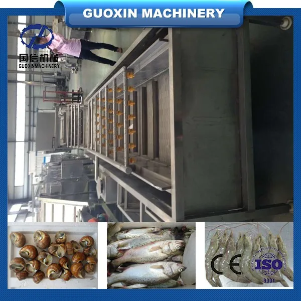 Citrus fruit washing machine / Orange cleaning machine / Citrus fruit washer and cleaner machine