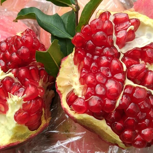 
Red Pomegranate Tree for Sale 