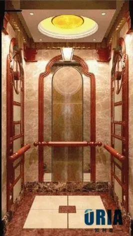 ORIA Modern Home Residential Elevator Mordenized Villa Elevator with Hydraulic and AC Drive for Outdoor Use V-19