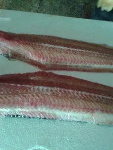 frozen catfish steak high quality fish fillet