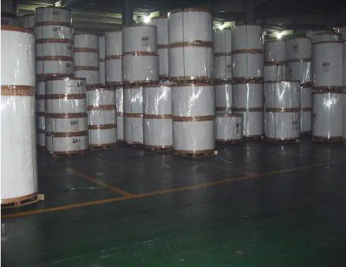 Premium Duplex board with grey back China Factory Price Raw Material Jumbo roll or sheet size 190-550gsm