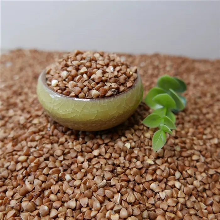 
 Сырой сладкий гречиха и фагопин  