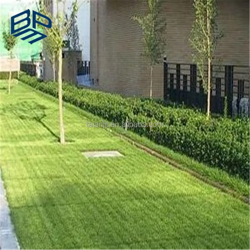 
50mm Plastic grass pavers Driveway gravel grass grid 