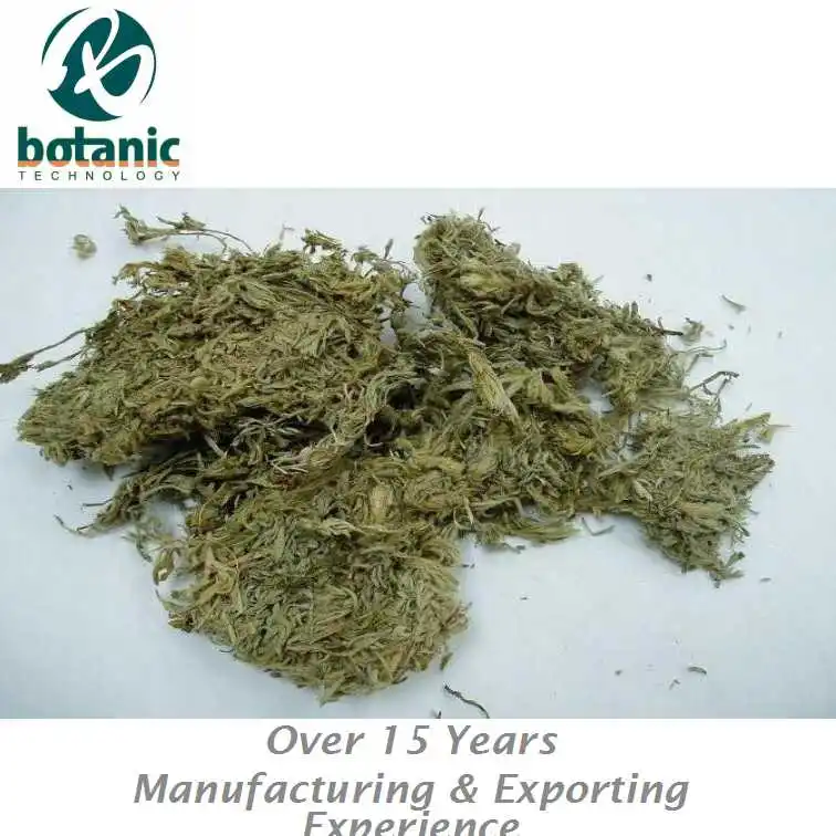 
Capillary Wormwood Flower/Herbal Artemisiae Scopariae 