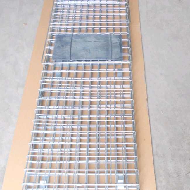 Collapsible One-door Live Animal Cage Trap For Raccoon Stray Cat Groundhog Opossum Armadillos