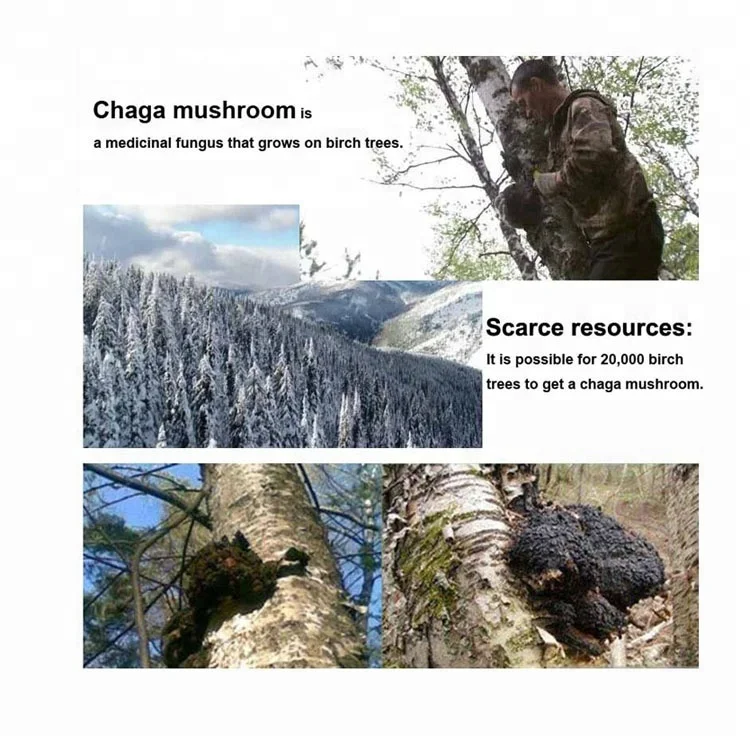 
heatlth tonic for diabetes medication 