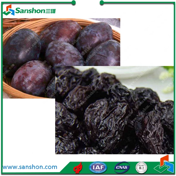 China Prune Plum Dehydration Dry Line Machine