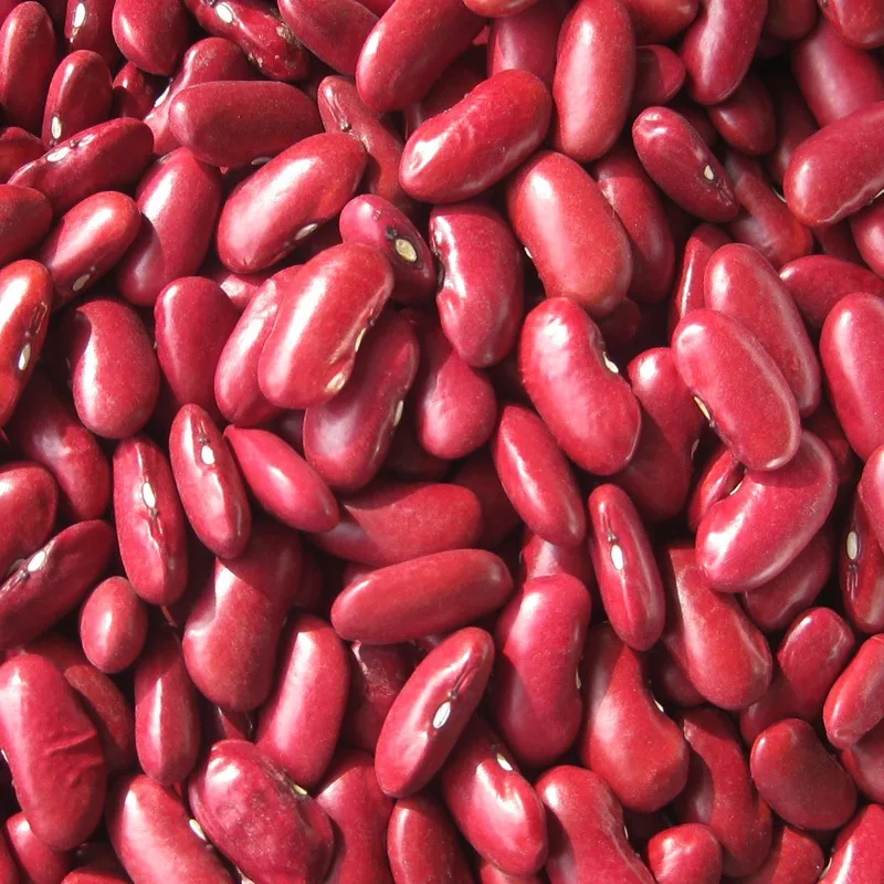British red kidney beans rajma