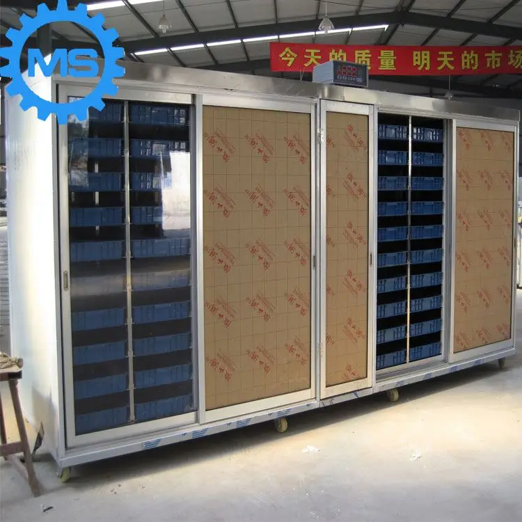250kg daily output hydroponic fodder system
