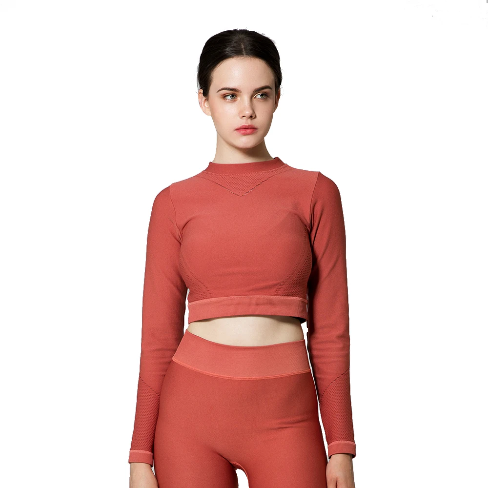 wholesale Plain blank sport shirt long sleeve women workout sports crop top for women