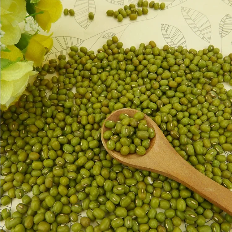 
Well selected small green mung bean 
